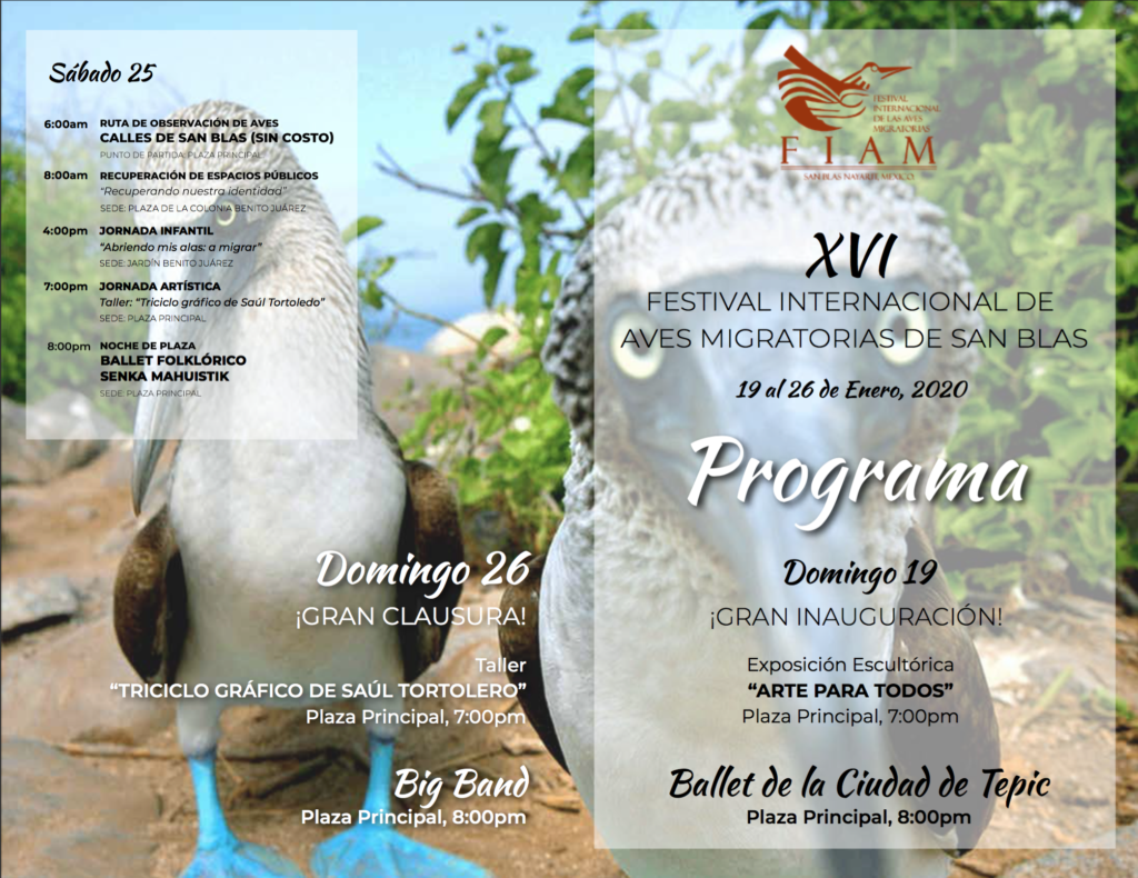 programa festival de aves san blas nayarit 2020 portada